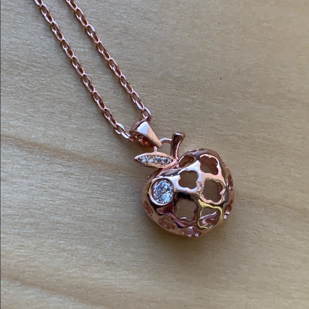 NWT Rose gold apple chain necklace